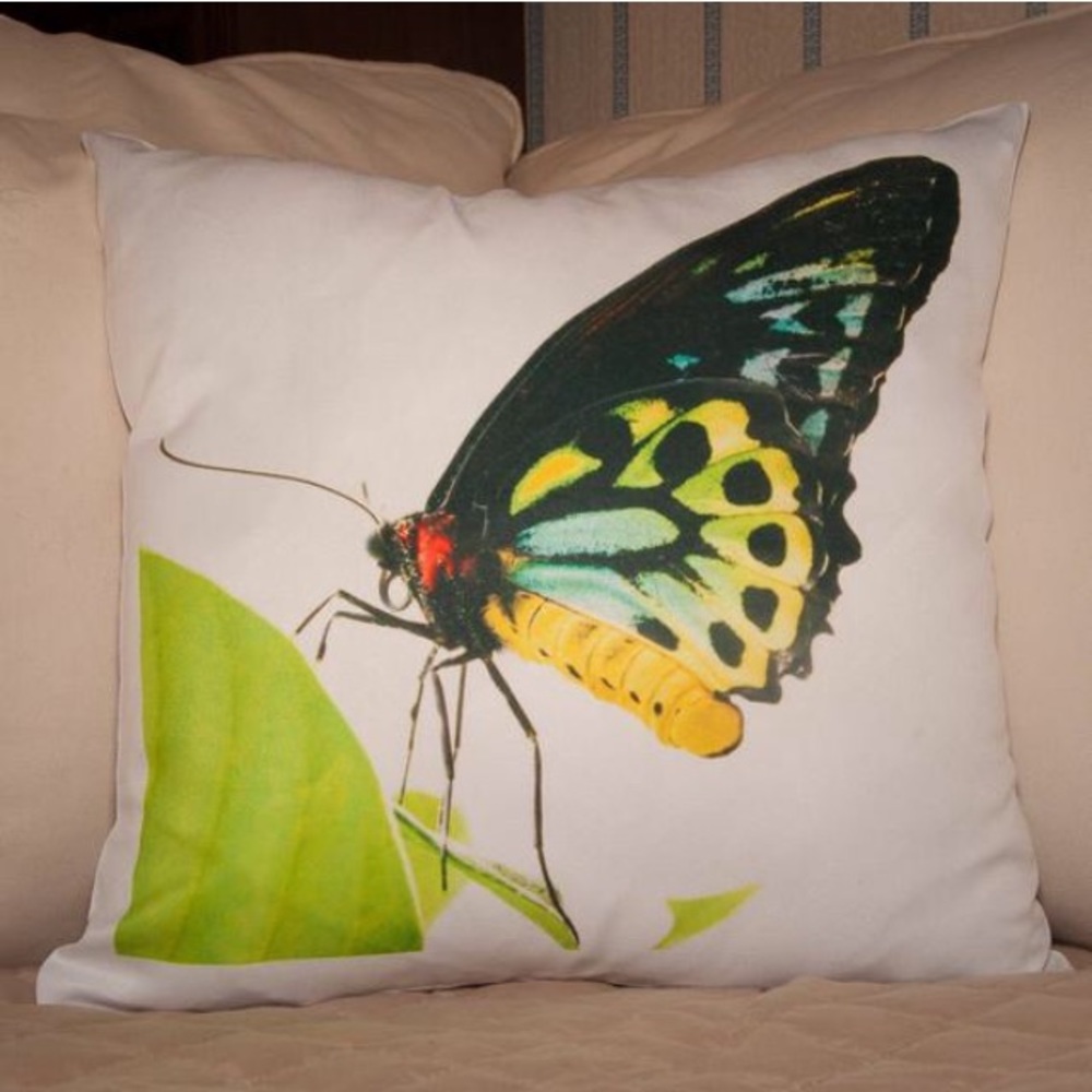 Limited Edition 16”x16” Goliath Birdwing Butterfly Pillow Cover